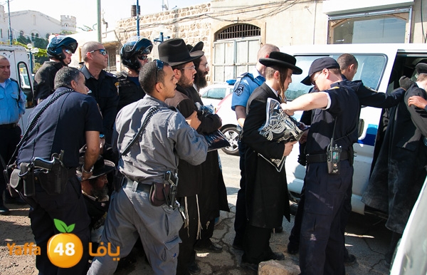 haradeem france hos 629 (21).jpg